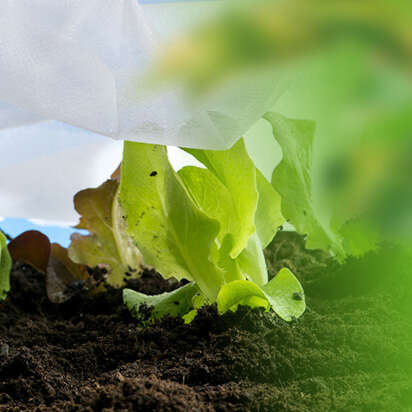 pflanzenschutz bubblenavibild